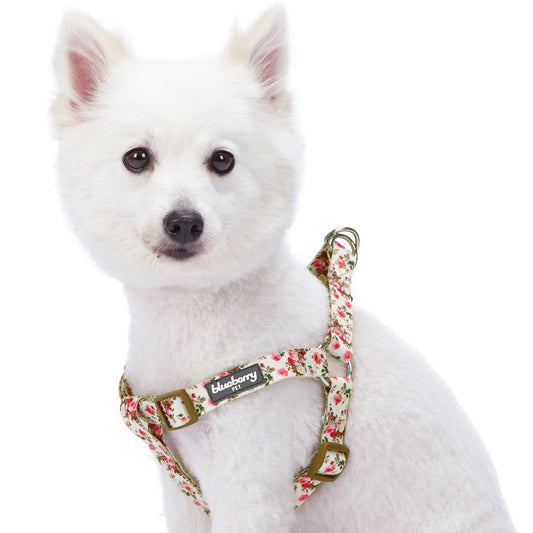 Petal Paws Floral Dog Harness