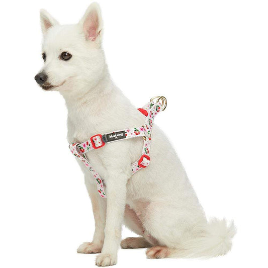 Cherry Blossom Dog Harness