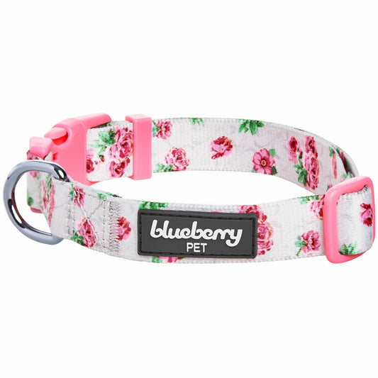 Cherry Blossom Dog Collar